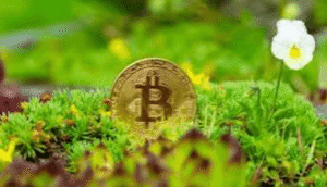 Can Cryptocurrency Become More Sustainable?